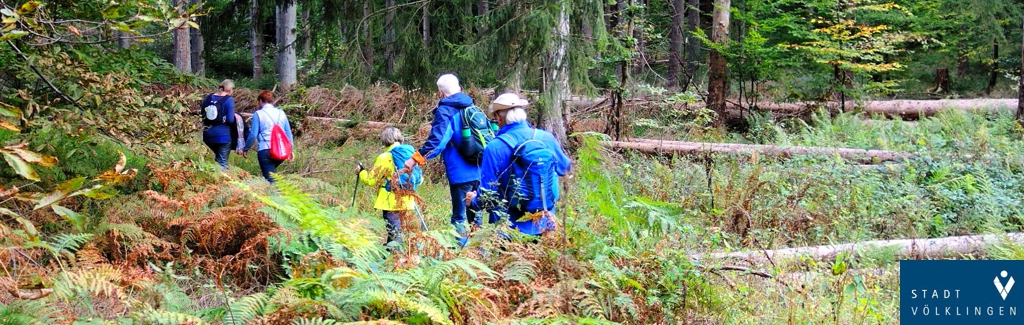 Wanderung der Stadt Völklingen: "Auf die Halde Luisenthal"
