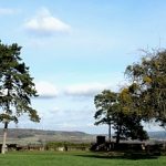 EWS Single-Wanderung “Auf abenteuerlichen Wegen zur Siersburg“