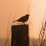 EWS-Genusswanderung im Neunkircher Land