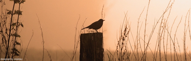 EWS-Genusswanderung im Neunkircher Land