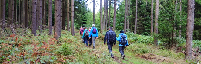 Am “Tag des Wanderns” zum „Brennenden Berg“