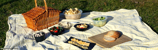 EWS Wanderung "Picknick auf dem Vulkan"