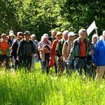 Achtung! Neue Startzeit! EWS Wanderung "Zum Steinbacher Dorffest"