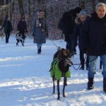 EWS Wandern mit Hund(en) im "Urwald" bei Saarbrücken