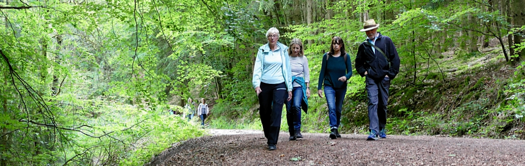 EWS-Genusswanderung zur "Reismühle" bei Krottelbach