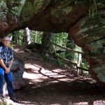 EWS Single-Wanderung „Durch das Felsentor im Felsenwald"