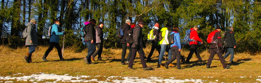 EWS Wanderung "Durch den winterlichen Schilderwald"