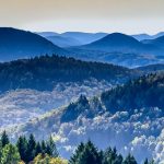 EWS Single-Wanderung "Ausflug in den Pfälzerwald"