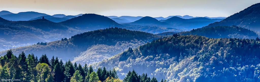 EWS Single-Wanderung "Ausflug in den Pfälzerwald"