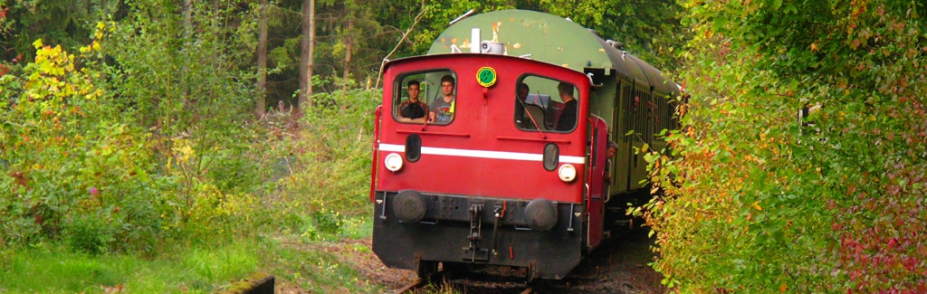 EWS-Wanderung "StreifZug durchs herbstliche Ostertal"