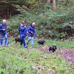 EWS Wandern mit Hund(en) im Bliesgau