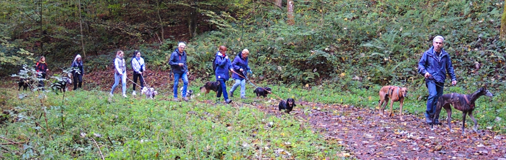 EWS Wandern mit Hund(en) im Bliesgau