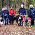 EWS Wandern mit Hund(en) "Die 3-Weiher-Tour"