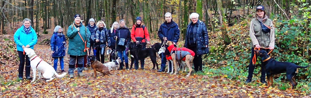 EWS Wandern mit Hund(en) "Die 3-Weiher-Tour"