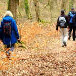 EWS-Wanderung "Wald- und Wiesenzeit"