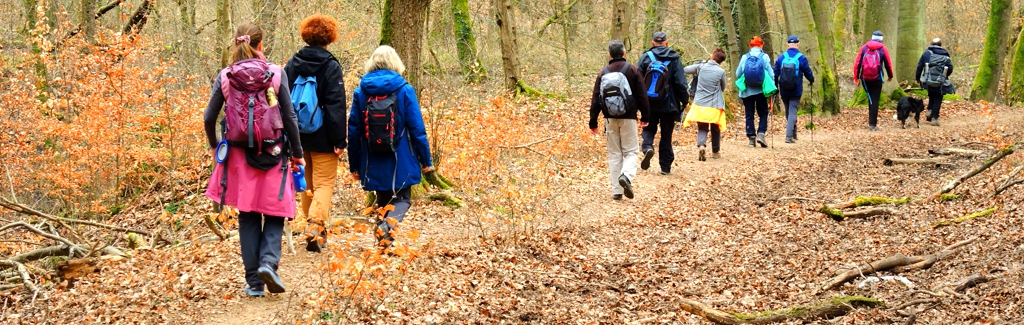 EWS-Wanderung "Wald- und Wiesenzeit"