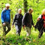 EWS-Wanderung "Auf dem 2-Täler-Weg bei Niederwürzbach"