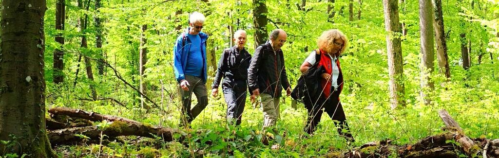 EWS-Wanderung "Auf dem 2-Täler-Weg bei Niederwürzbach"