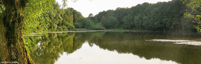 EWS-Wanderung "9 1/2 W...eiher bei Enkenbach"